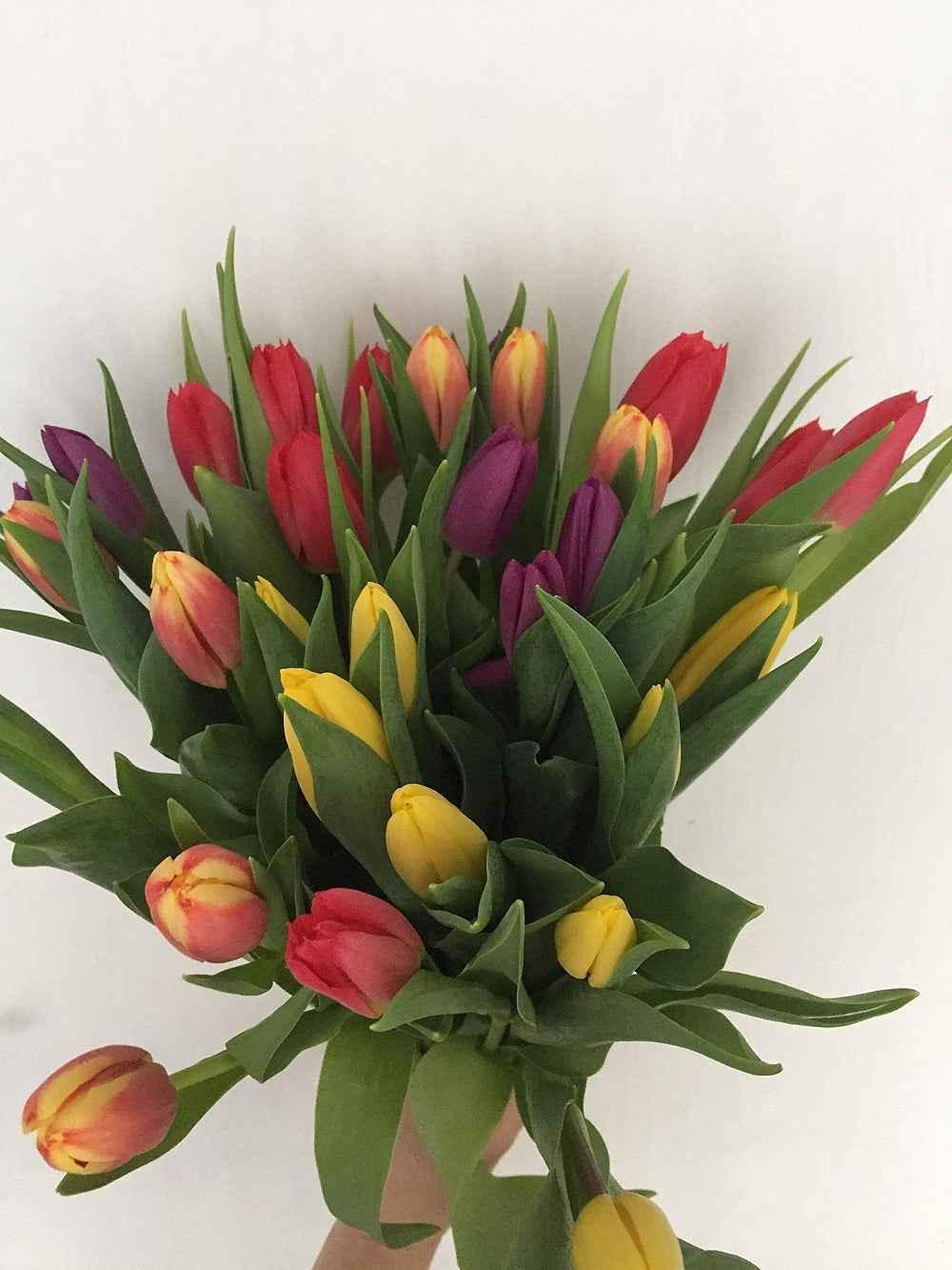 Fresh Tulips Bouquet - Freshness Flowers