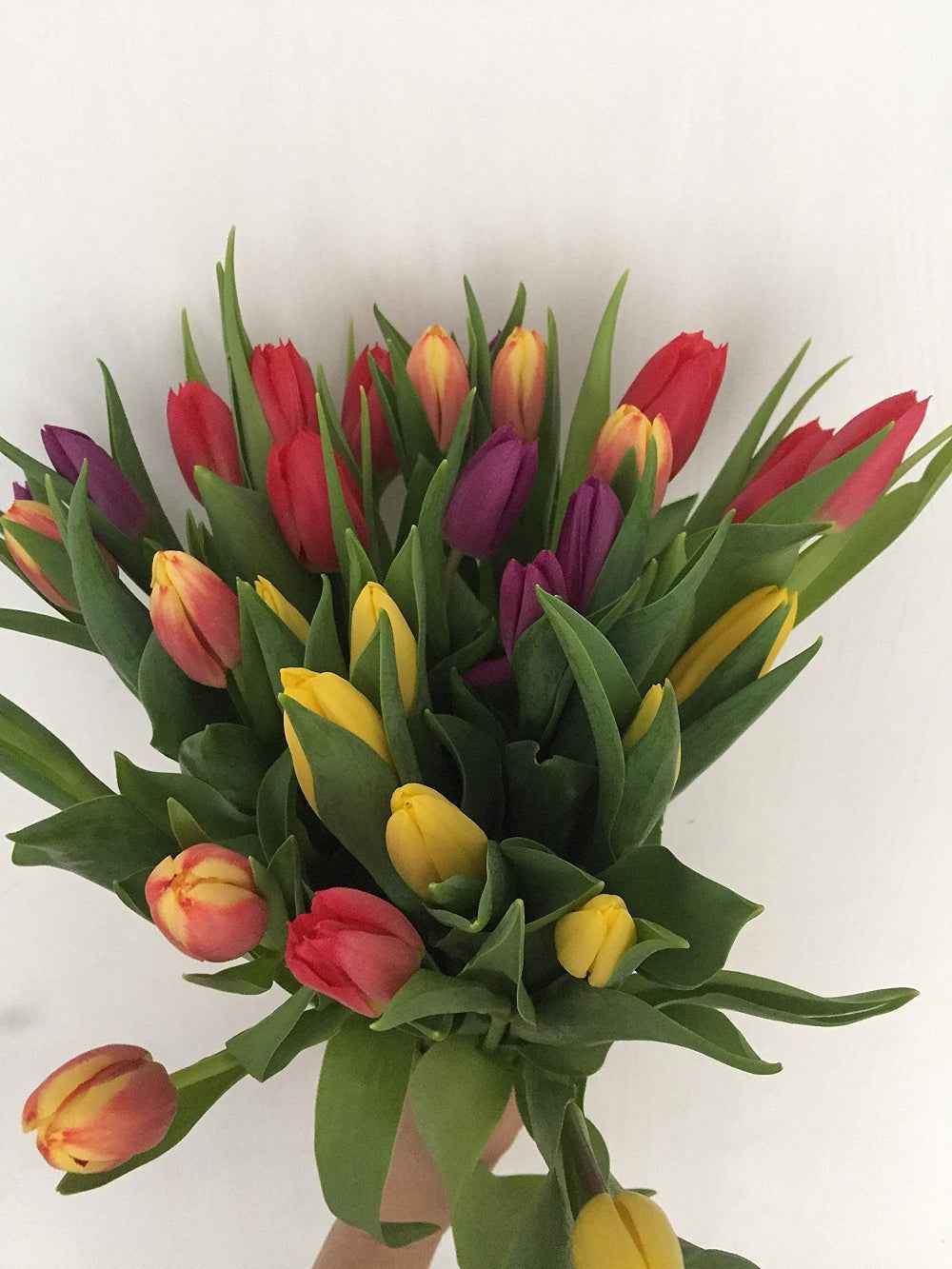 Fresh Tulips Bouquet