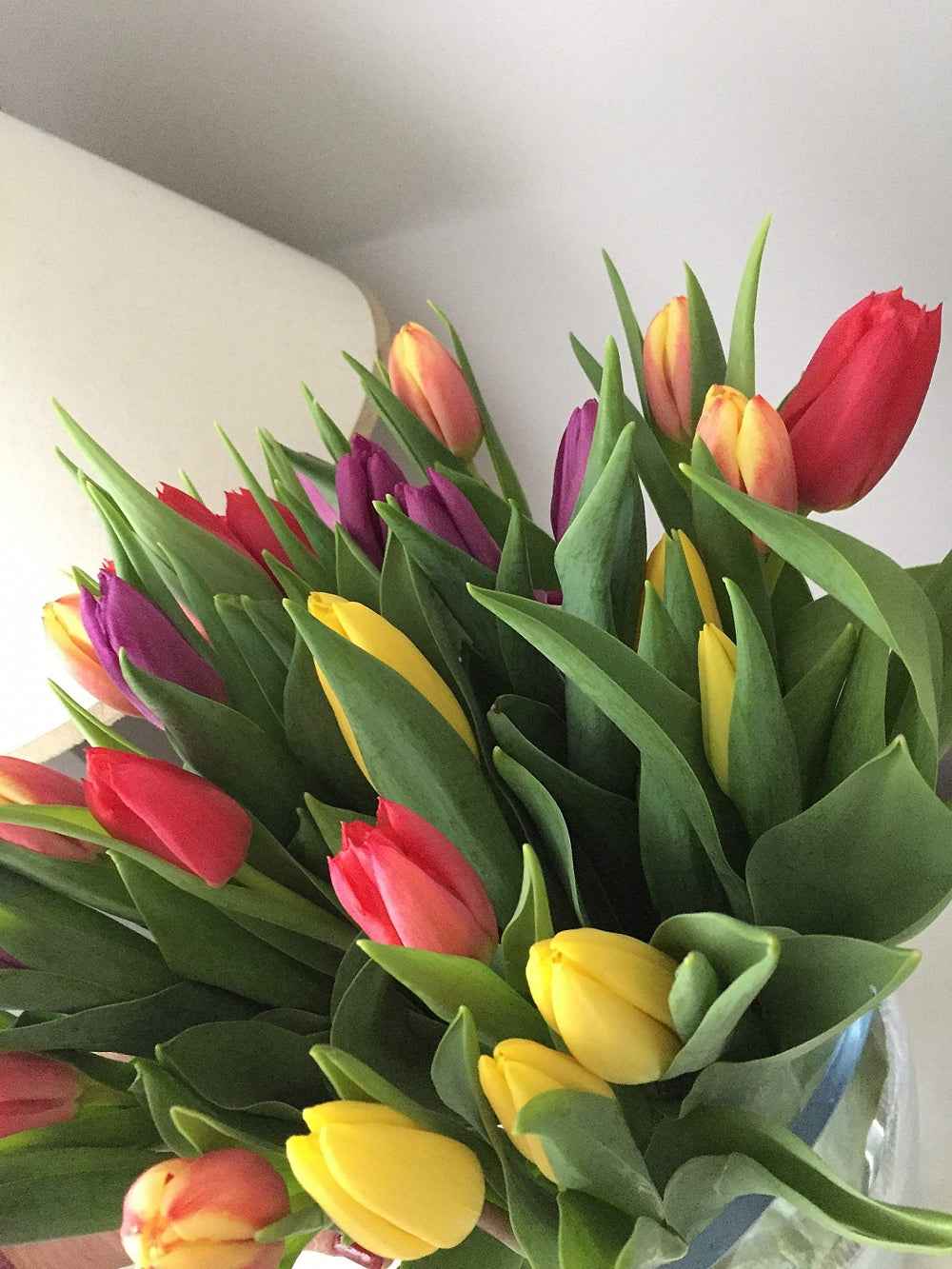 Fresh Tulips Bouquet