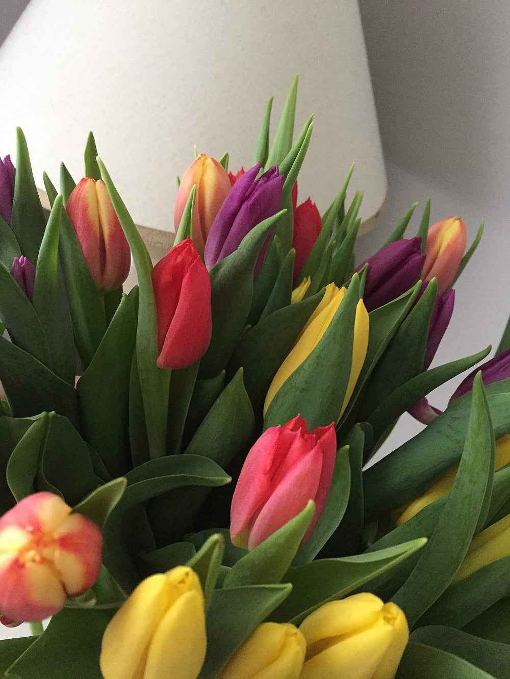 Fresh Tulips Bouquet