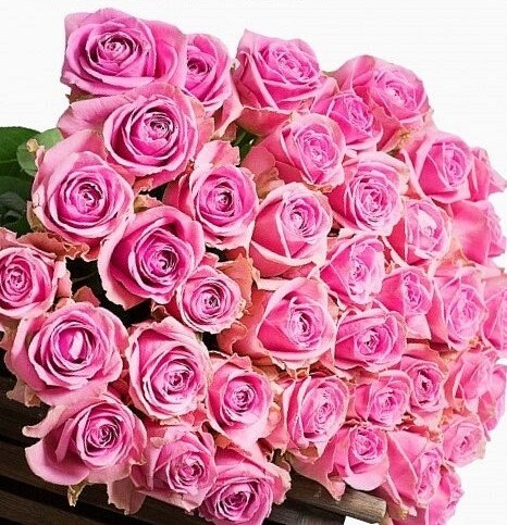 Fresh pink roses hand-tied bouquet eco-friendly packaging