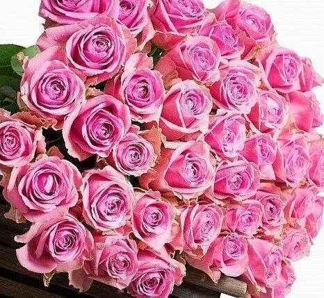 Luxury Pink Roses Bouquet - 40 Fresh Hand-Tied Roses for UK Delivery - Freshness Flowers