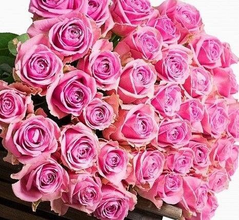 Premium pink roses bouquet close up romantic gift