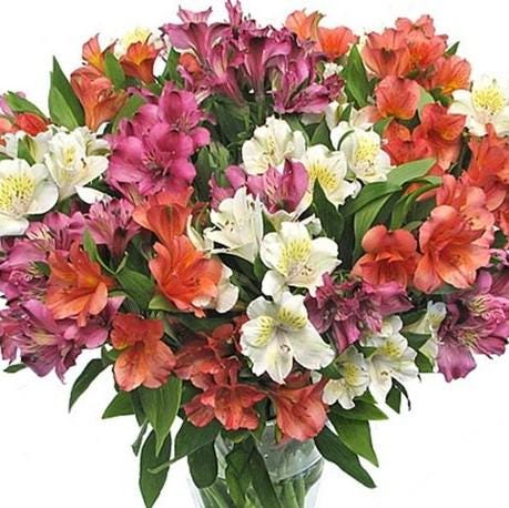 Hand-tied alstroemeria arrangement birthday thank you gift UK