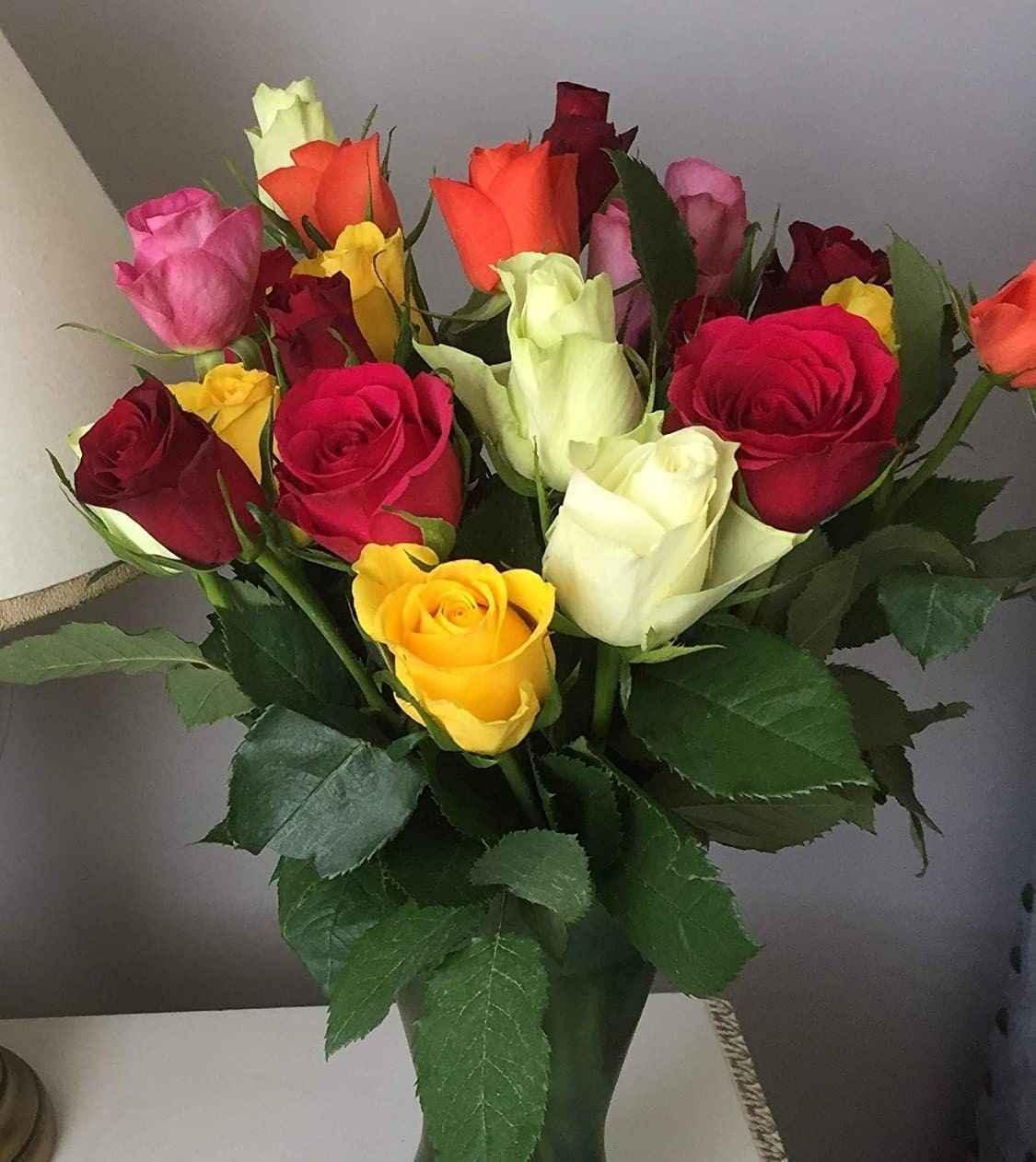 Fresh Rose Bouquet Next Day Delivery - Hand-Tied Mixed Roses - Freshness Flowers