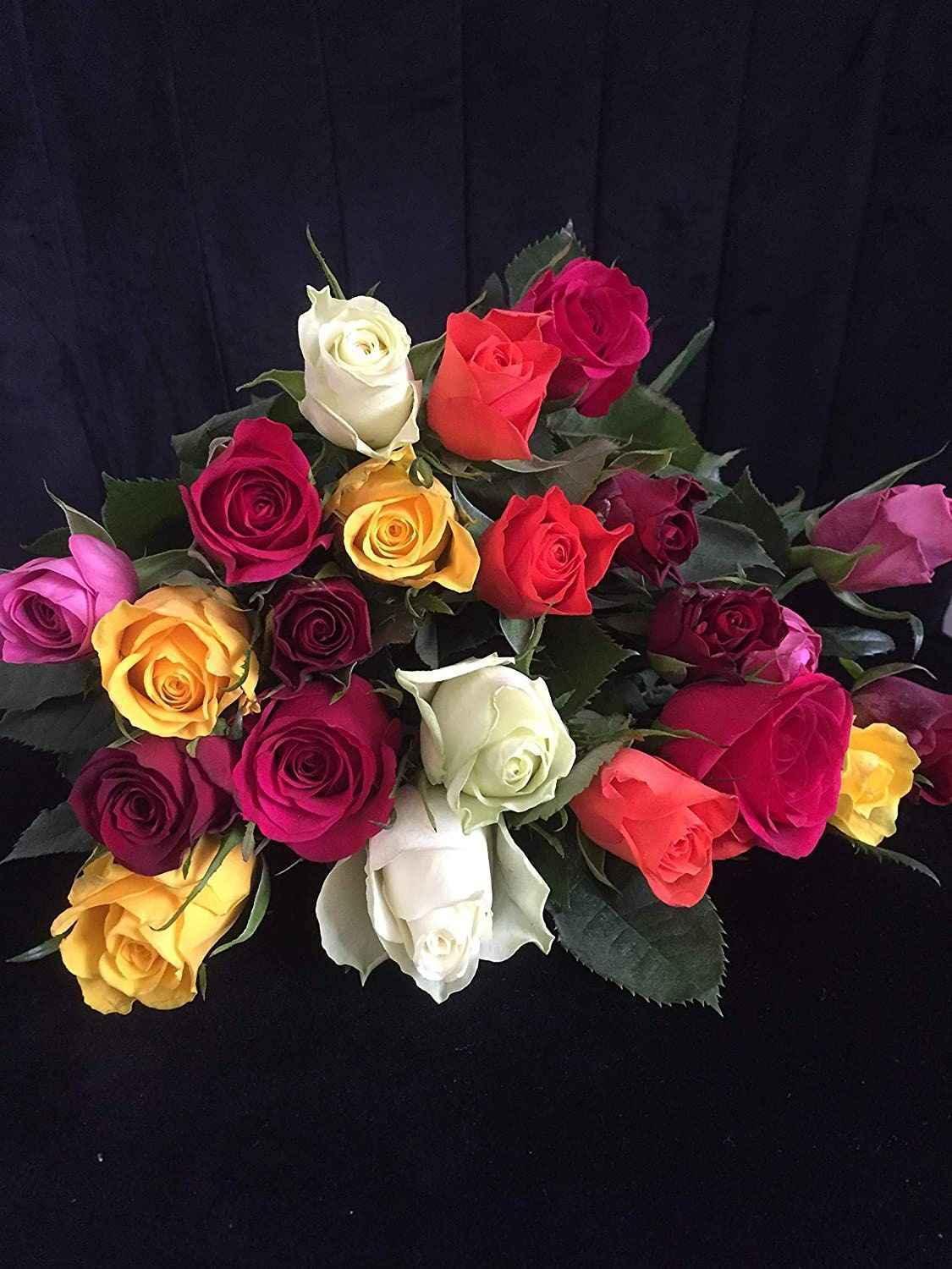 Fresh Rose Bouquet Next Day Delivery - Hand-Tied Mixed Roses - Freshness Flowers