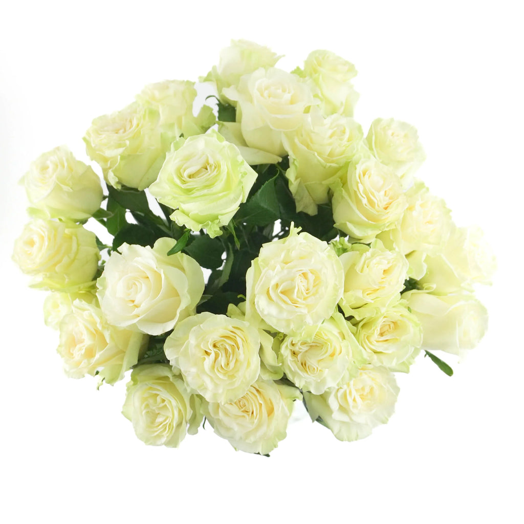 White Rose Bouquet