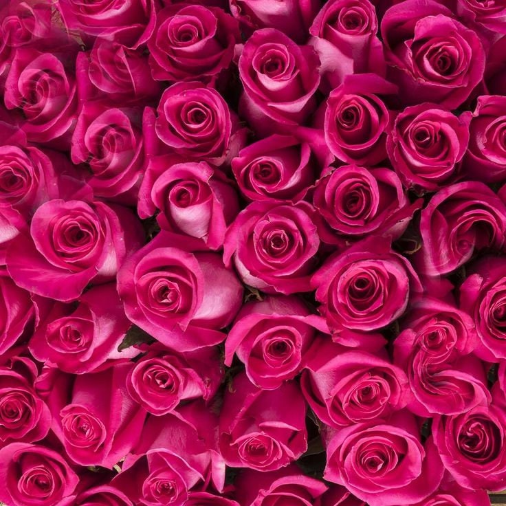 40 pink roses bouquet luxury hand-tied fresh flowers UK