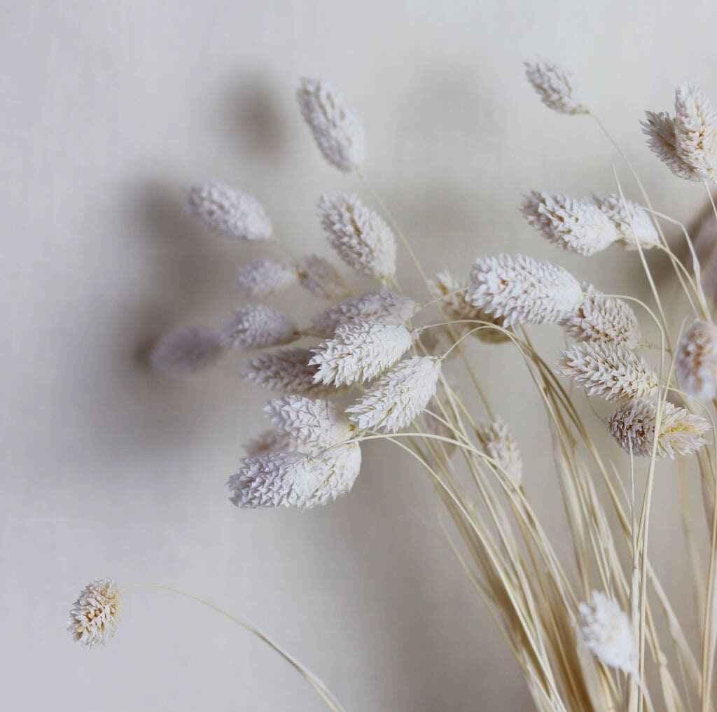 Mixed Roses Dried Flower Bouquet - Hand-Tied with Next Day UK Delivery