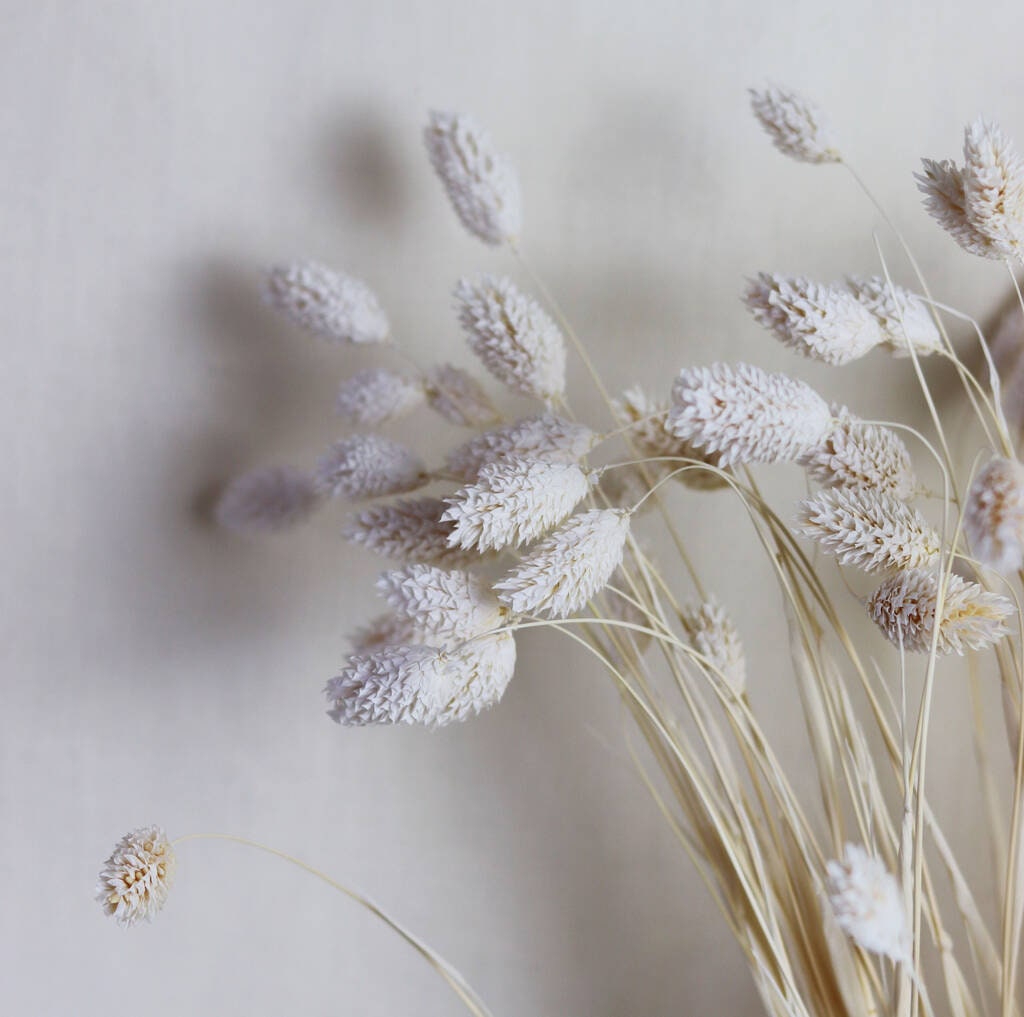 Fresh and dried flowers arrangement long-lasting bouquet UK
