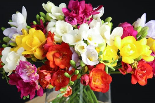 Mix Freesia Bouquet - Fresh Flowers Delivered UK