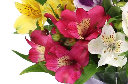 Mother's Day Mix Freesia Bouquet - Fresh Flowers Delivered UK