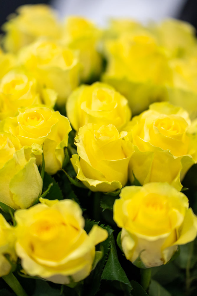 Yellow Rose Bouquet